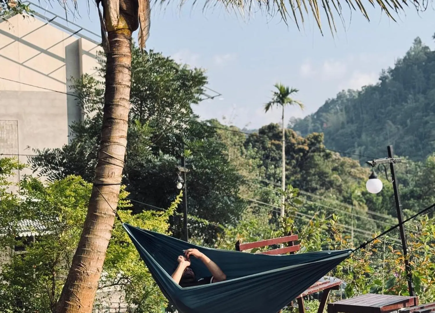 Greenwoods Munnar Unmarried Allowed 홈스테이